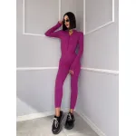 Гащеризон Alison